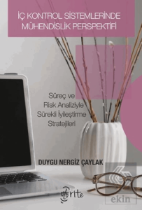 İç Kontrol Sistemlerinde Mühendislik Perspektifi