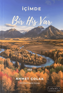 İçimde Bir His Var