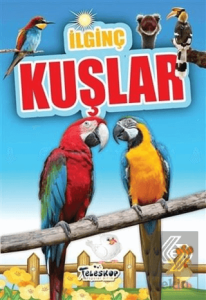 İlginç Kuşlar