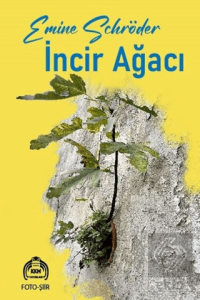 İncir Ağacı