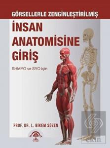 İnsan Anatomisine Giriş - Görsellerle Zenginleştir