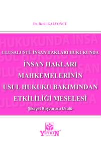 İnsan Hakları Mahkemelerinin Usul Hukuku Bakımından Etkililiği Meselesi