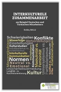 Interkulturele Zusammenarbeit am Beispiel Deutsche