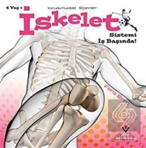 İskelet Sistemi İş Başında! - Vücudumuzdaki Sistem