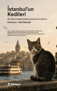 İstanbulun Kedileri