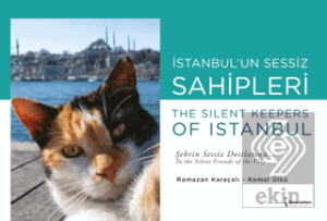 İstanbul'un Sessiz Sahipleri