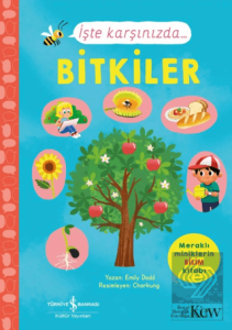 İşte Karşınızda...Bitkiler