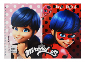 K.Color Lady Bug 17*25 15 Yp.Resim Defteri