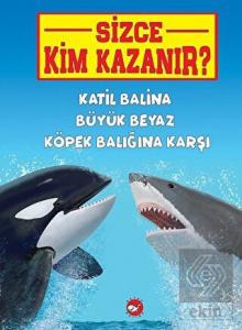 Katil Balina Büyük Beyaz Köpek Balığına Karşı - Si