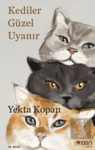 Kediler Güzel Uyanır
