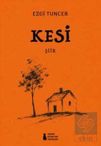 Kesi