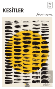 Kesitler