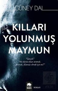 Kılları Yolunmuş Maymun