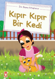 Kıpır Kıpır Bir Kedi (Düz Yazılı)