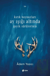 Kırık Boynuzları Ay Işığı Altında Geyik Sürülerinin