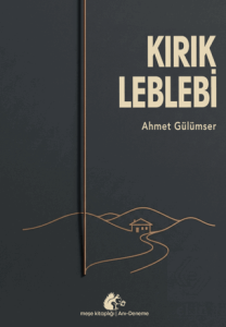 Kırık Leblebi