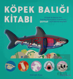 Köpek Balığı Kitabı