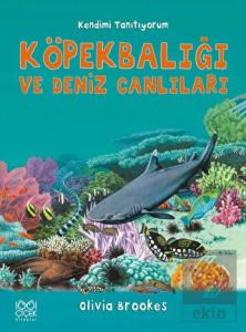 Köpek Balığı ve Deniz Canlılarına Soralım