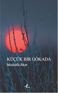 Küçük Bir Gökada