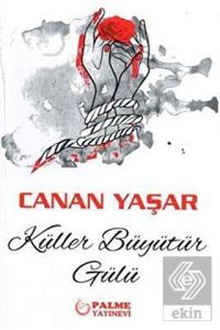 KÜLLER BÜYÜTÜR GÜLÜ - PALME