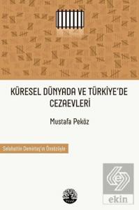 Küresel Dünyada ve Türkiye'de Cezaevleri