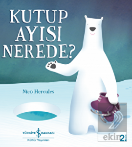 Kutup Ayısı Nerede?