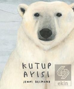 Kutup Ayısı