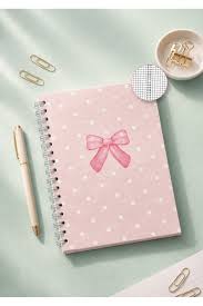 LİZY 17*24 SERT KP 120YP KİRAZ FİYONK DEFTER KARELİ