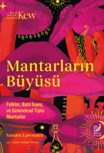 Mantarların Büyüsü