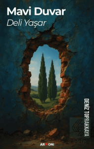 Mavi Duvar