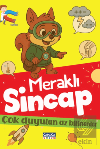 Meraklı Sincap