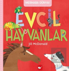 Merhaba Dünya! Evcil Hayvanlar