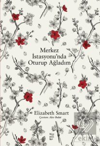 Merkez İstasyonu'nda Oturup Ağladım