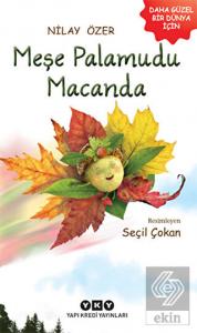 Meşe Palamudu Macanda