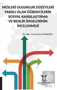 Mesleki Olgunluk Düzeyleri Farklı Olan Öğrencileri