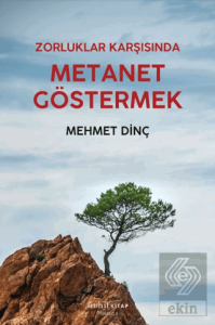 Metanet Göstermek