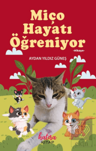 Miço Hayatı Öğreniyor
