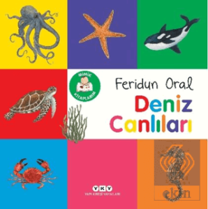 Minik Kitaplarım – Deniz Canlıları