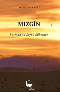 Mızgin