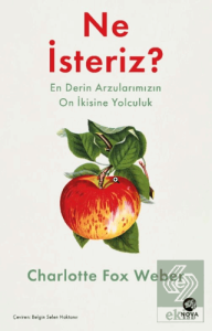 Ne İsteriz: En Derin Arzularımızın On İkisine Yolculuk