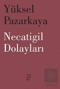 Necatigil Dolayları