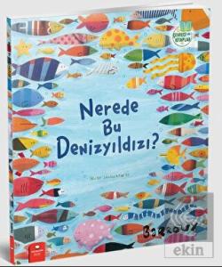 Nerede Bu Denizyıldızı?
