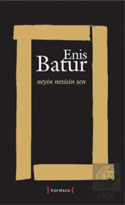 Neyin Nesisin Sen