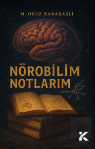 Nörobilim Notlarım