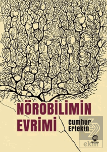 Nörobilimin Evrimi
