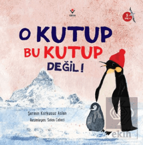 O Kutup Bu Kutup Değil!