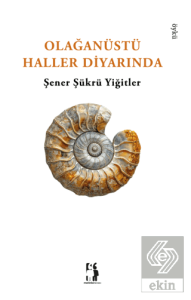 Olağanüstü Haller Diyarı