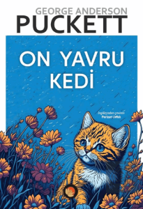 On Yavru Kedi