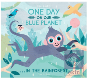 One Day On Our Blue Planet In The Rainforest