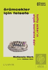 Örümcekler İçin Felsefe: Kathy Acker'ın Alçak Teorisine Dair